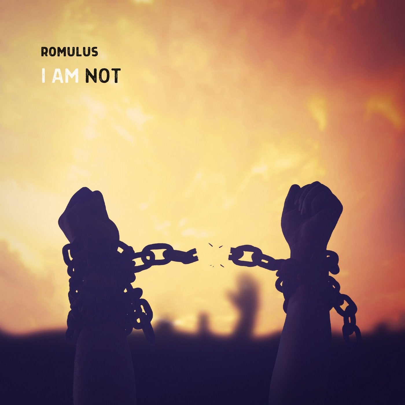 I Am Not