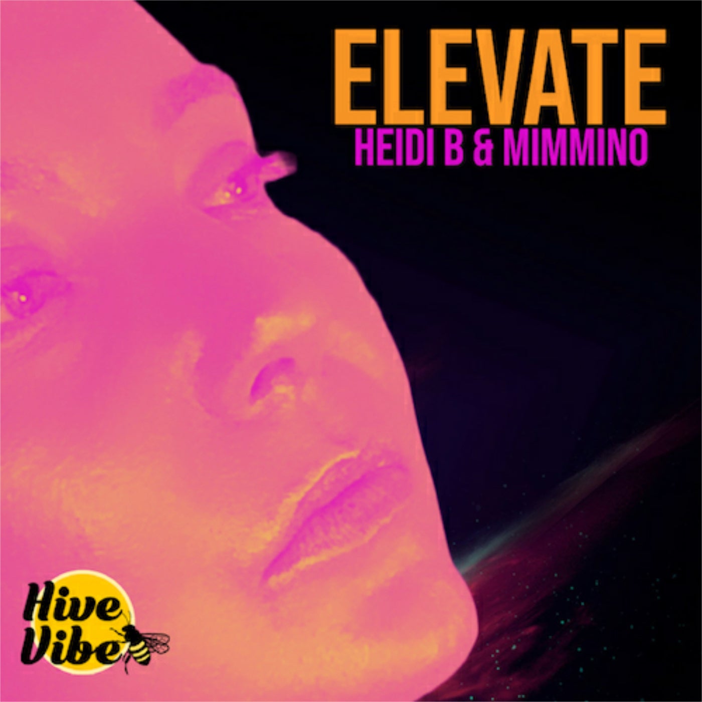 Elevate (Mimmino's Disco Remix)
