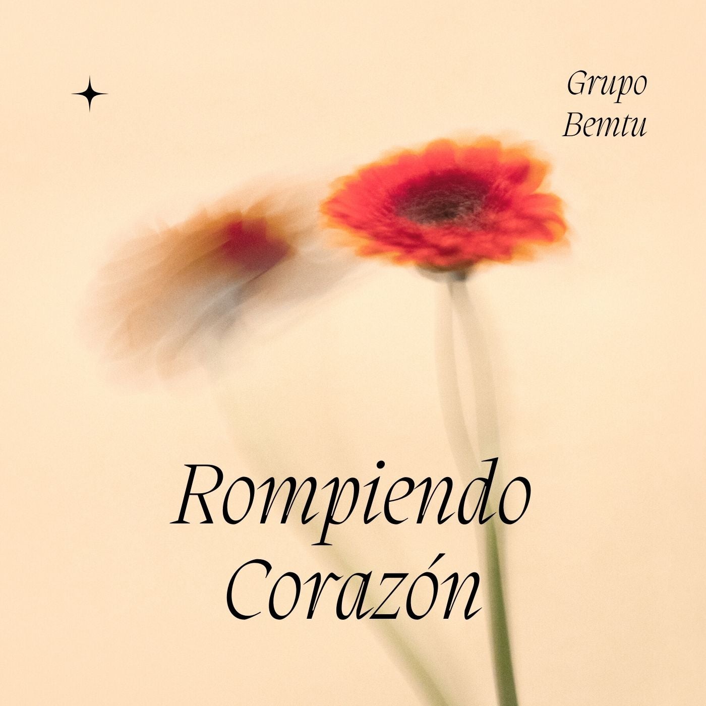 Rompiendo Corazón