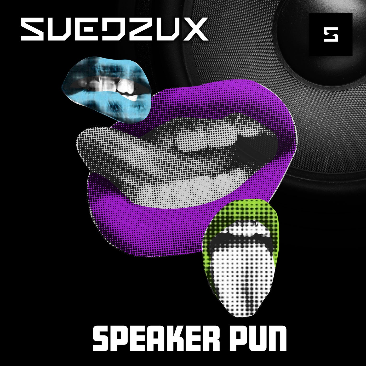 Speaker Pun
