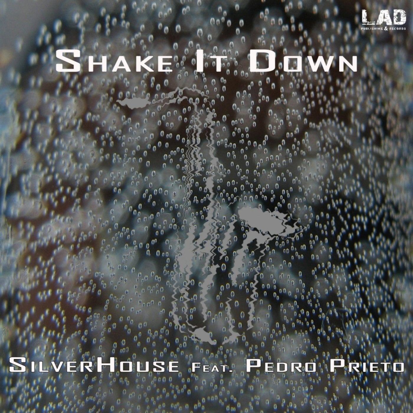 Shake It Down