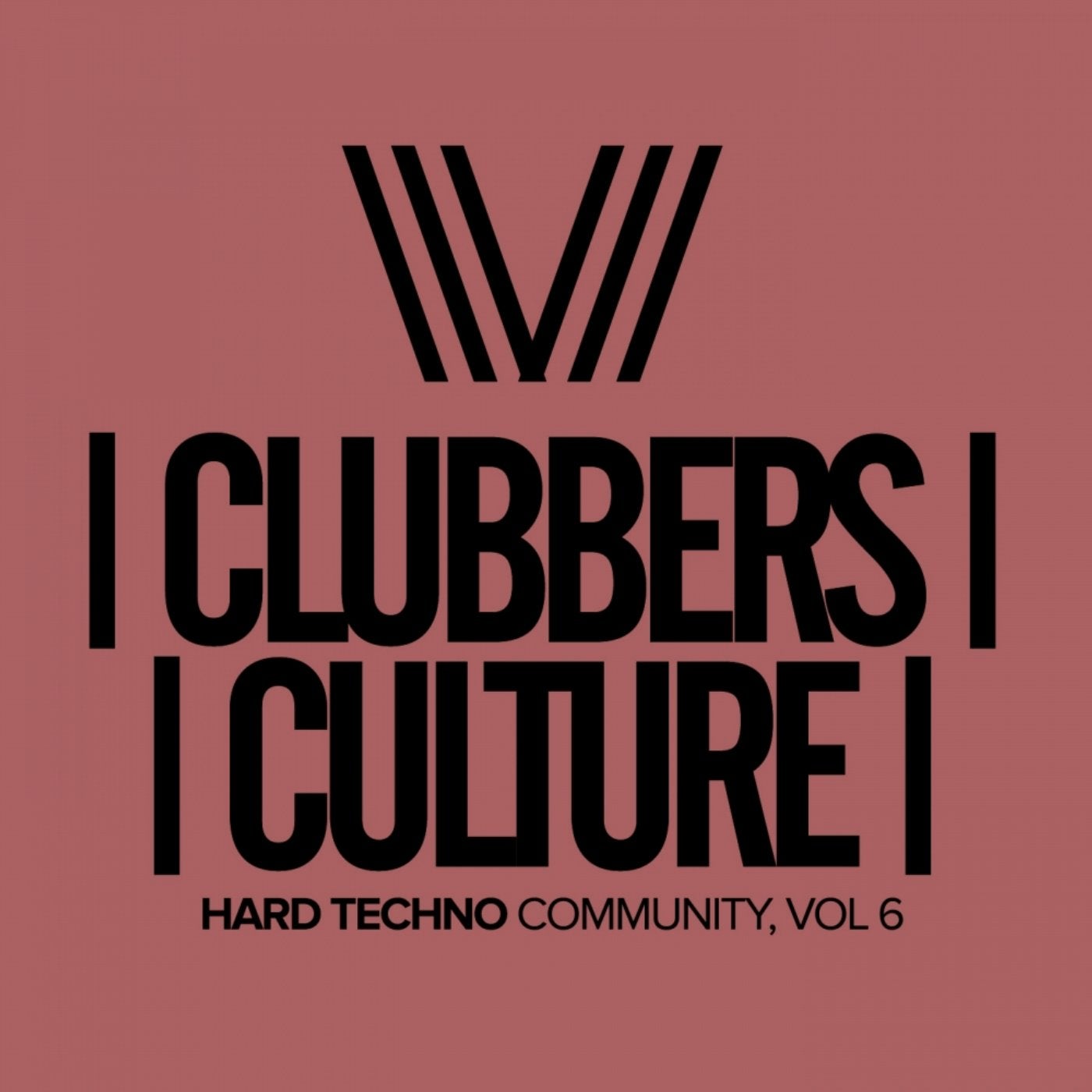 Clubbers Culture: Hard Techno Community, Vol.6