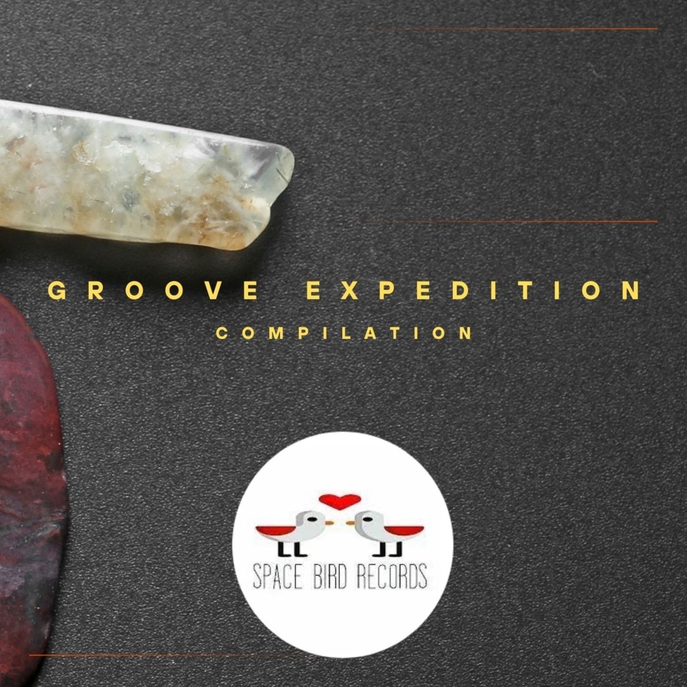 Groove Expedition