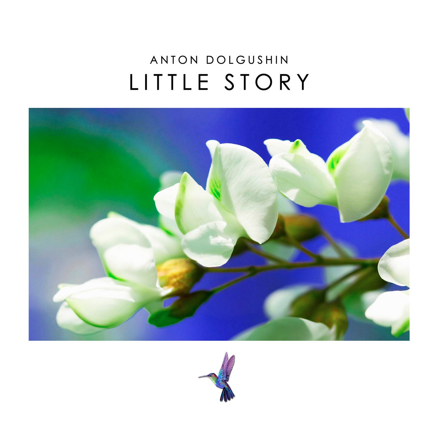 Little Story
