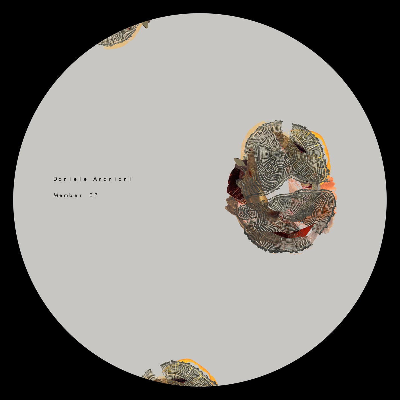 Cover art for Member EP