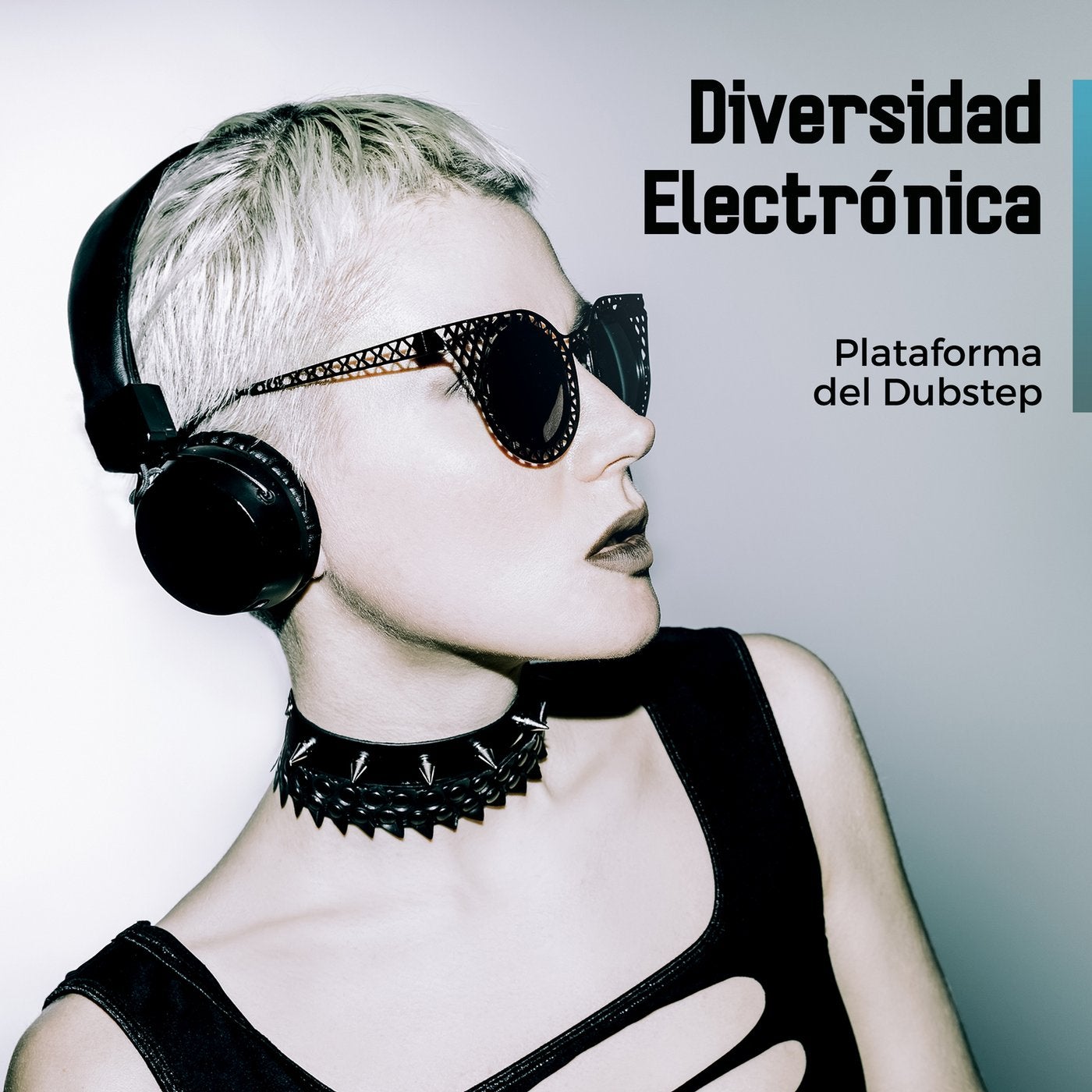 Diversidad Electrónica: Plataforma del Dubstep