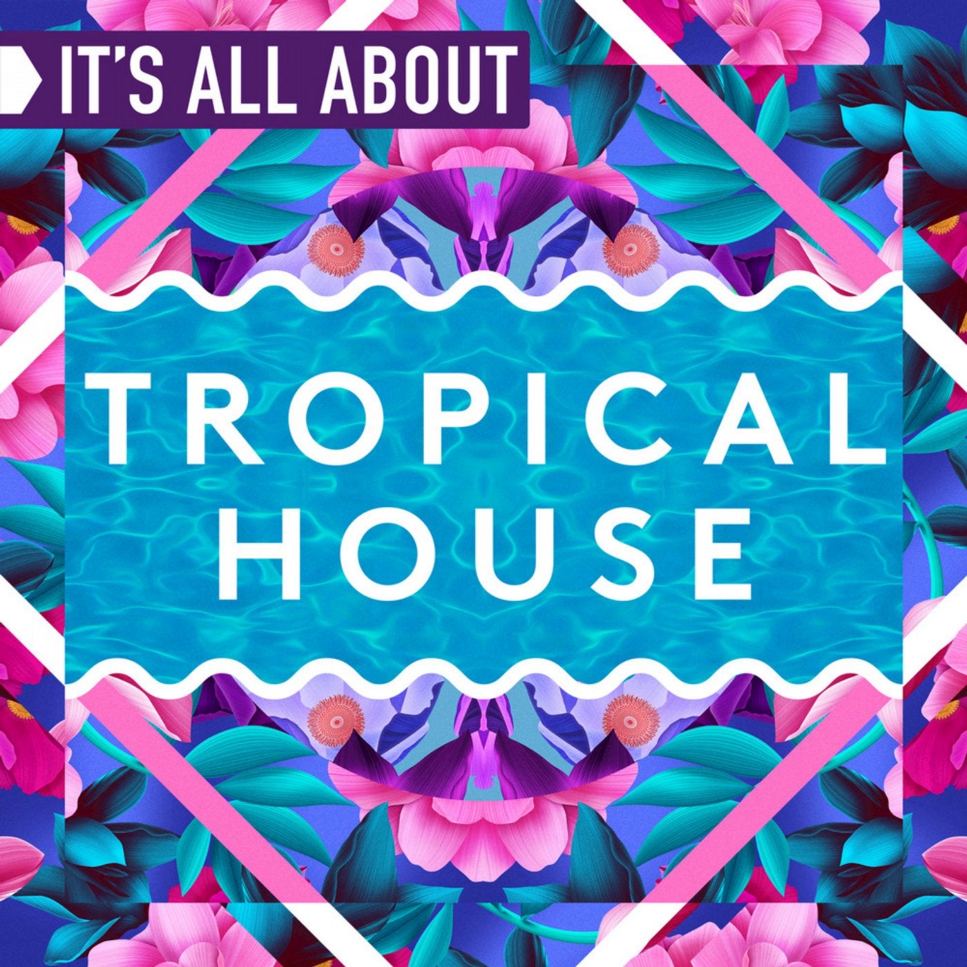 It's All About Tropical House