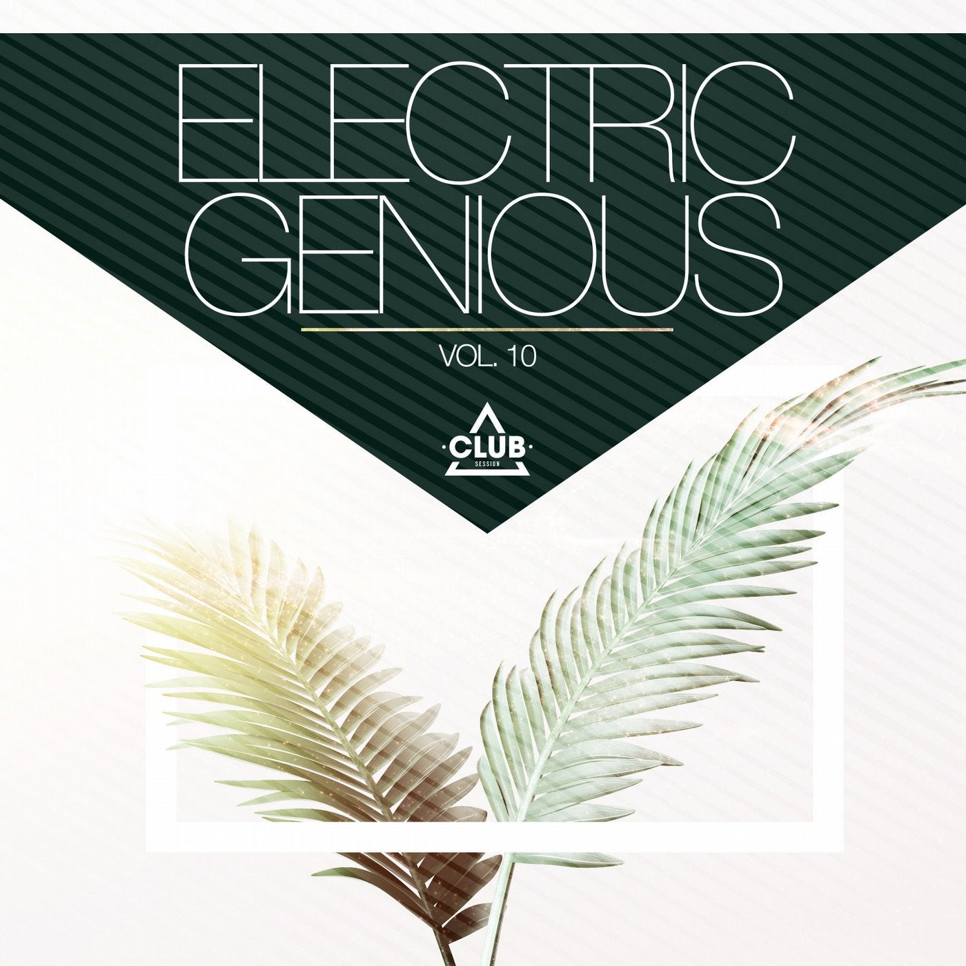 Electric Genious Vol. 10