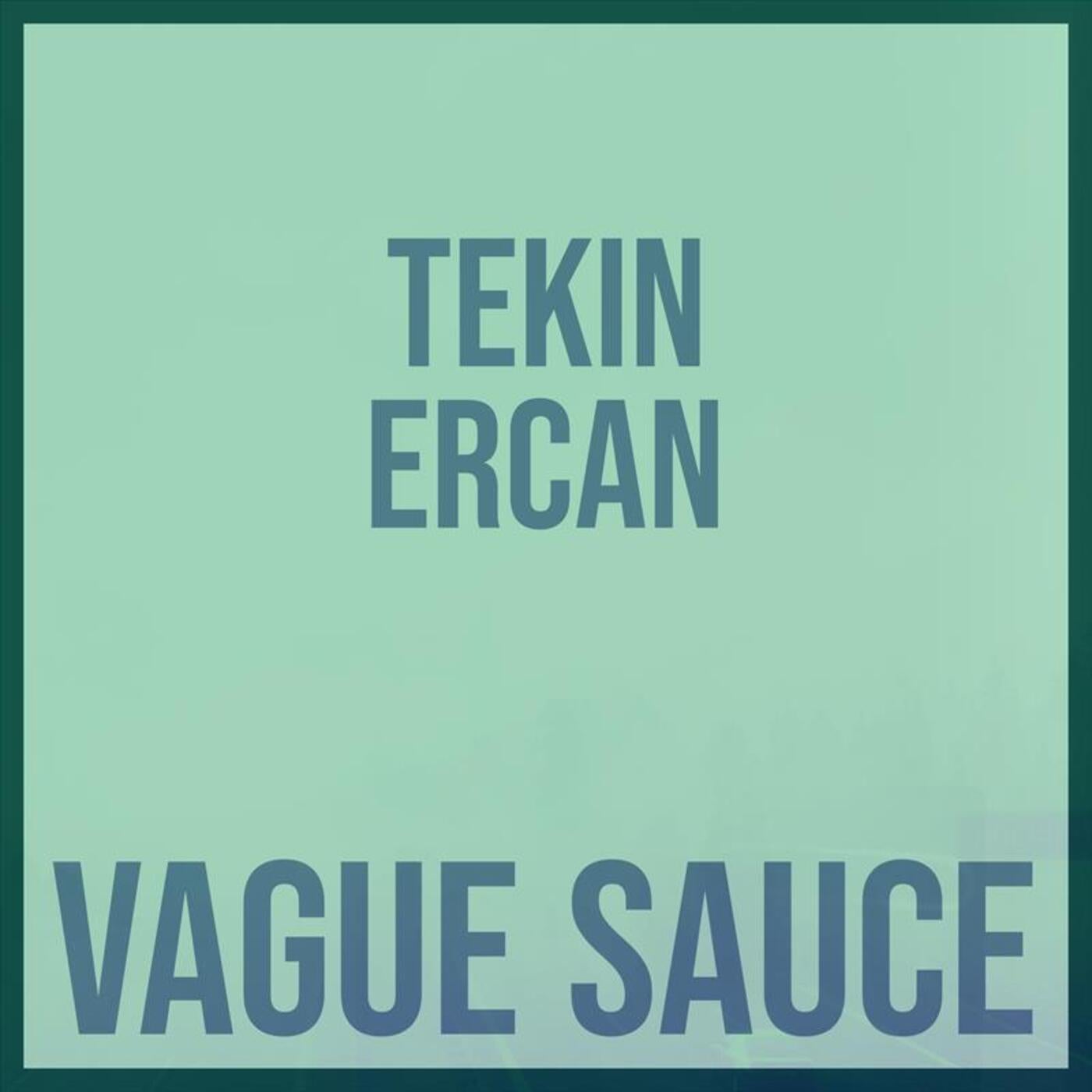 Tekin Ercan