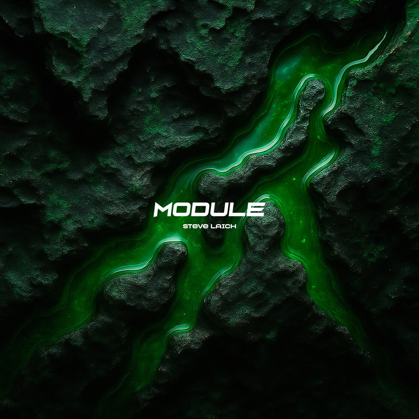 Module