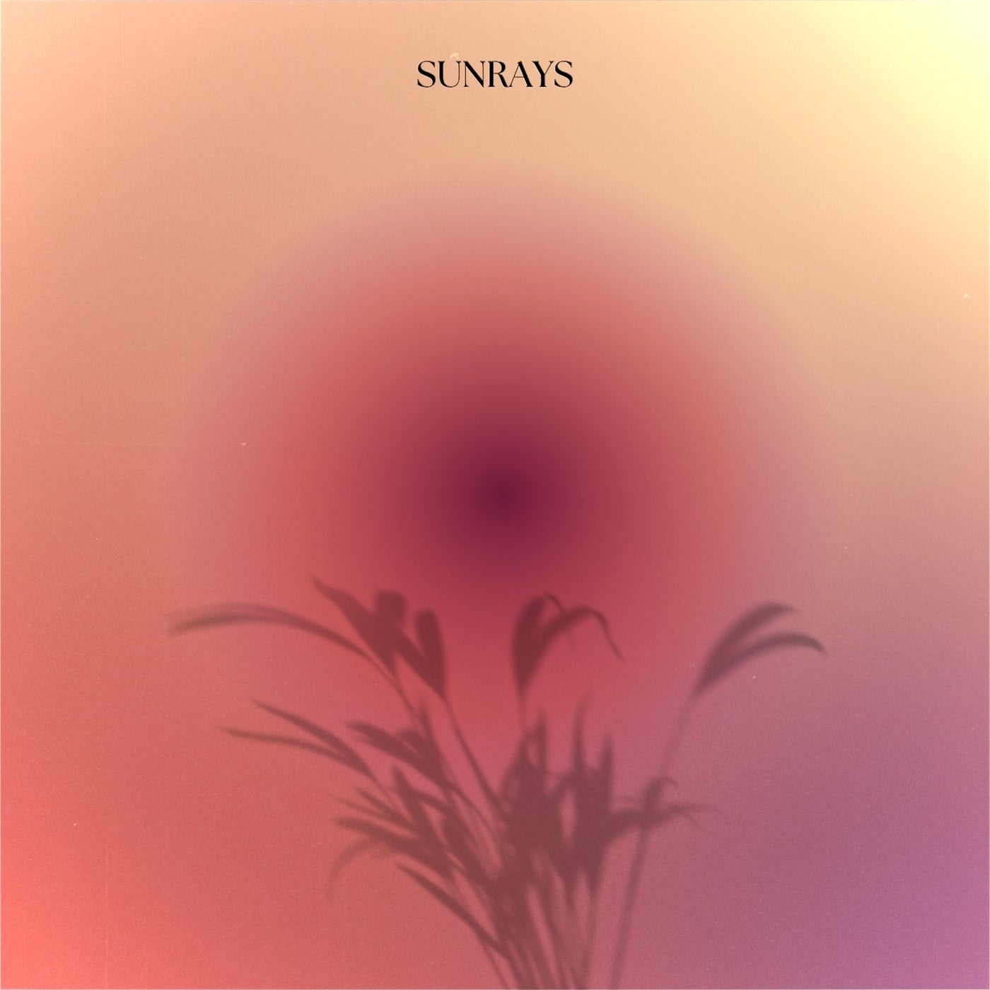 Sunrays