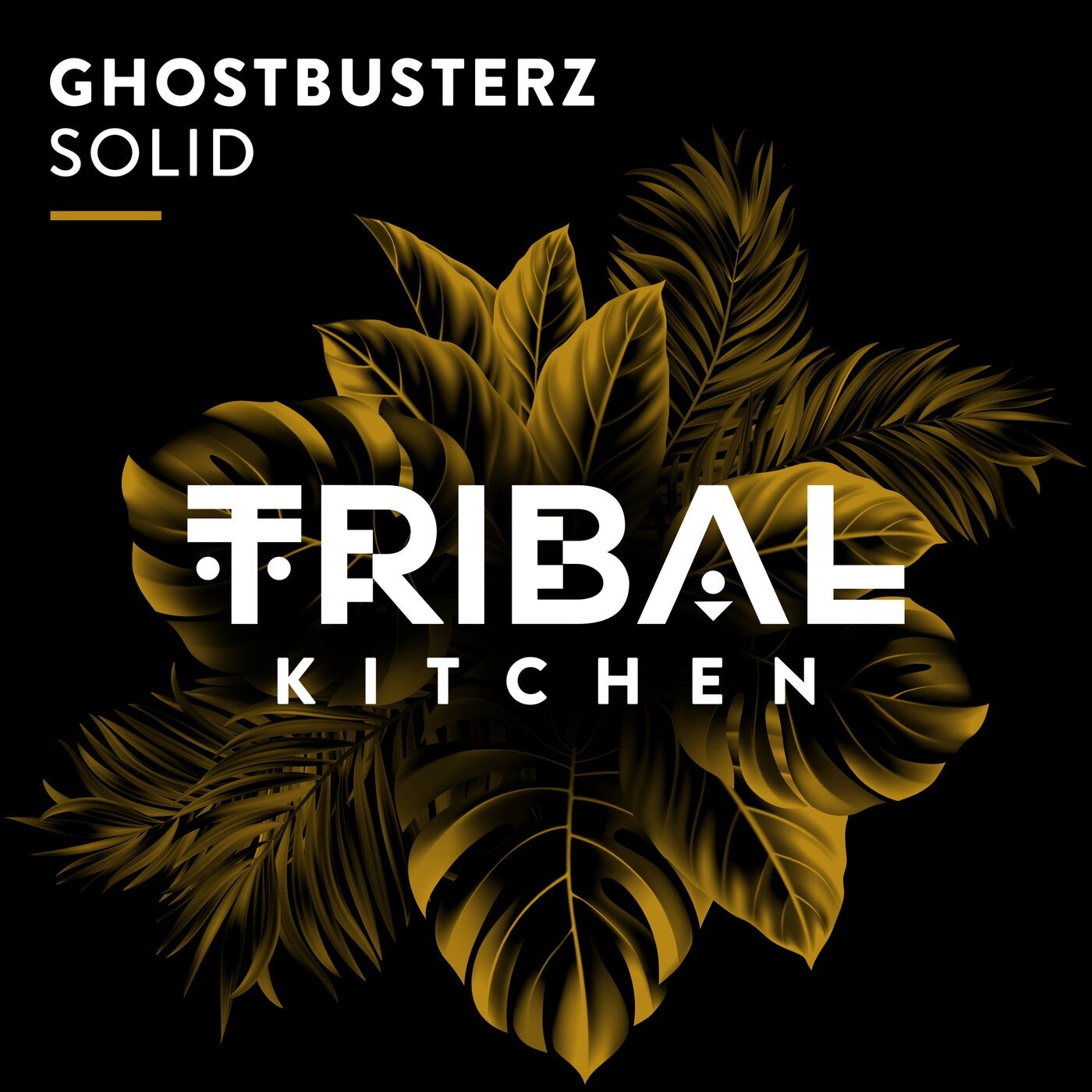 Ghostbusterz –  Solid [Tribal Kitchen]