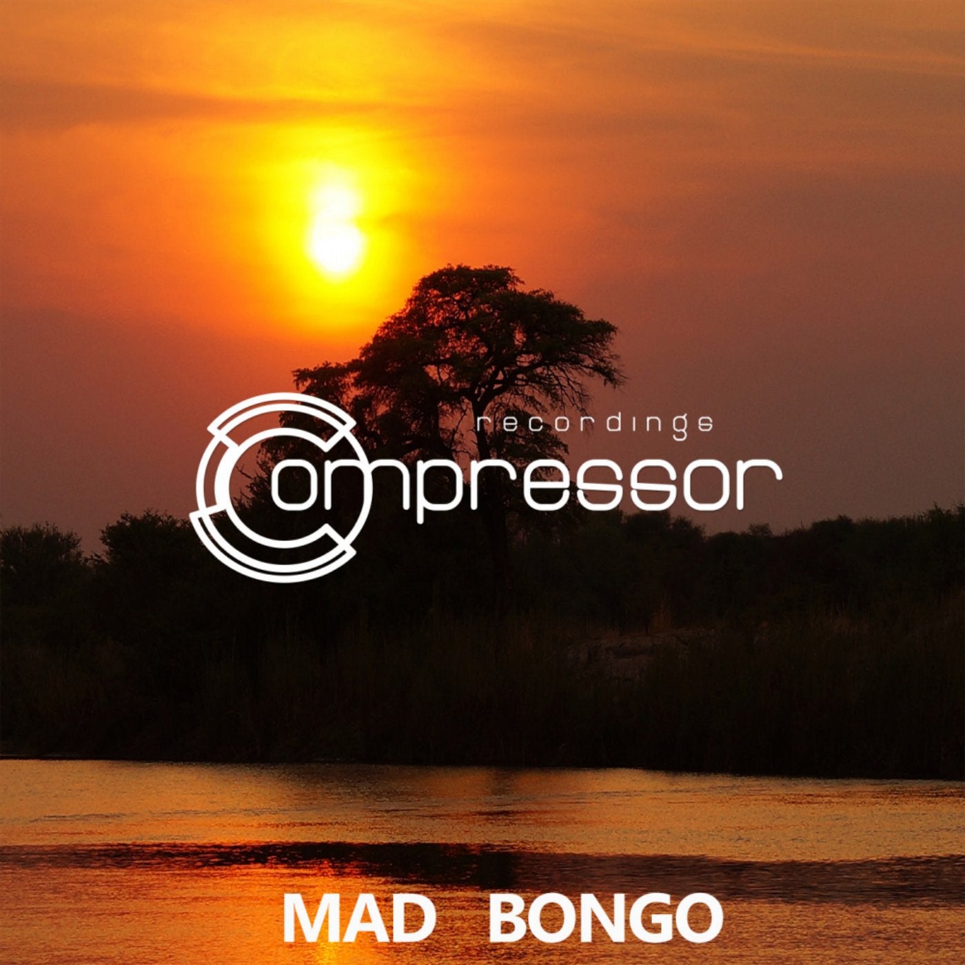 Mad Bongo