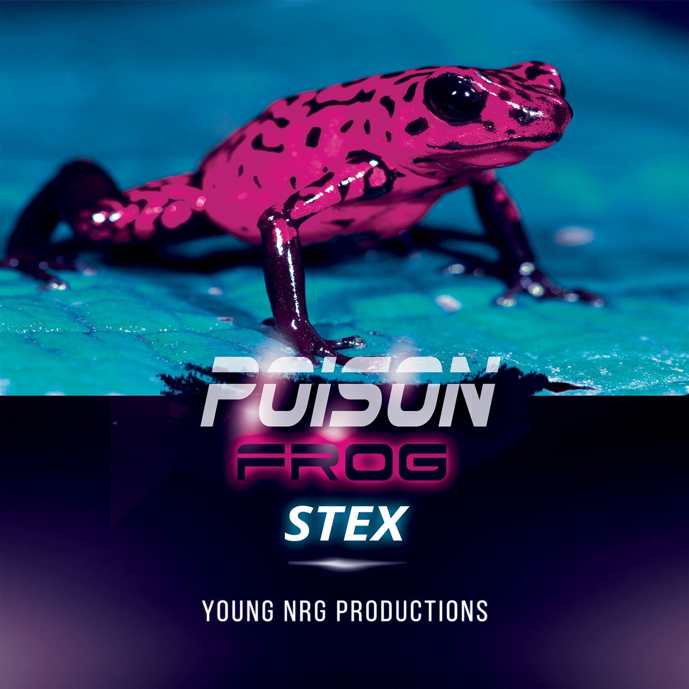 Poison Frog