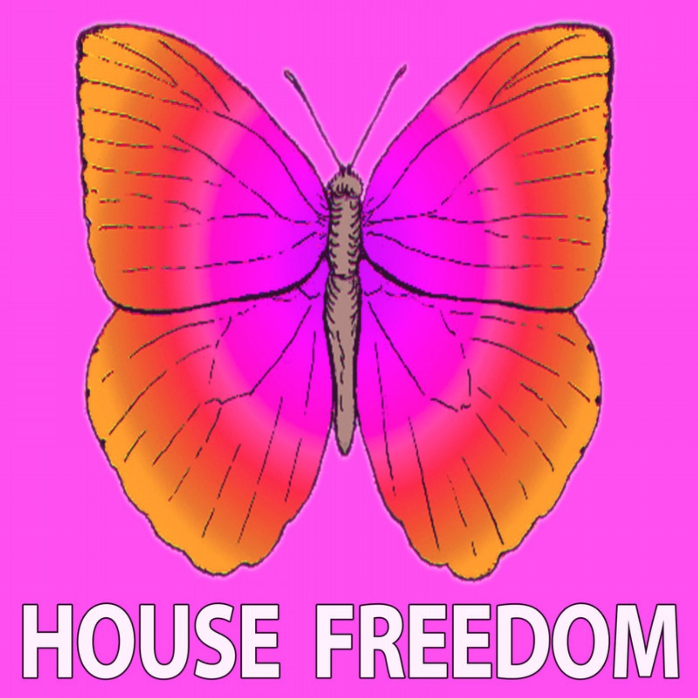 Mister House