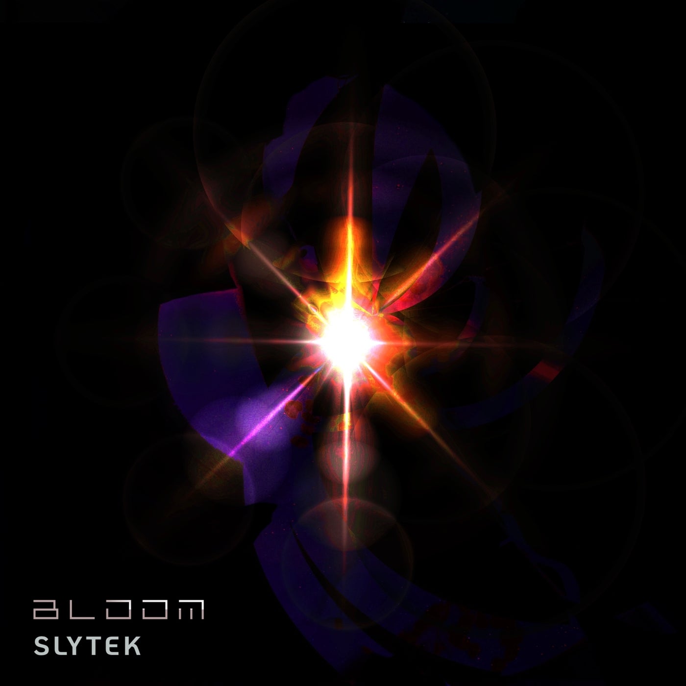 Bloom