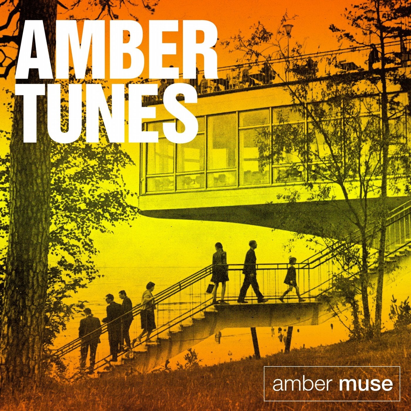 Amber Tunes