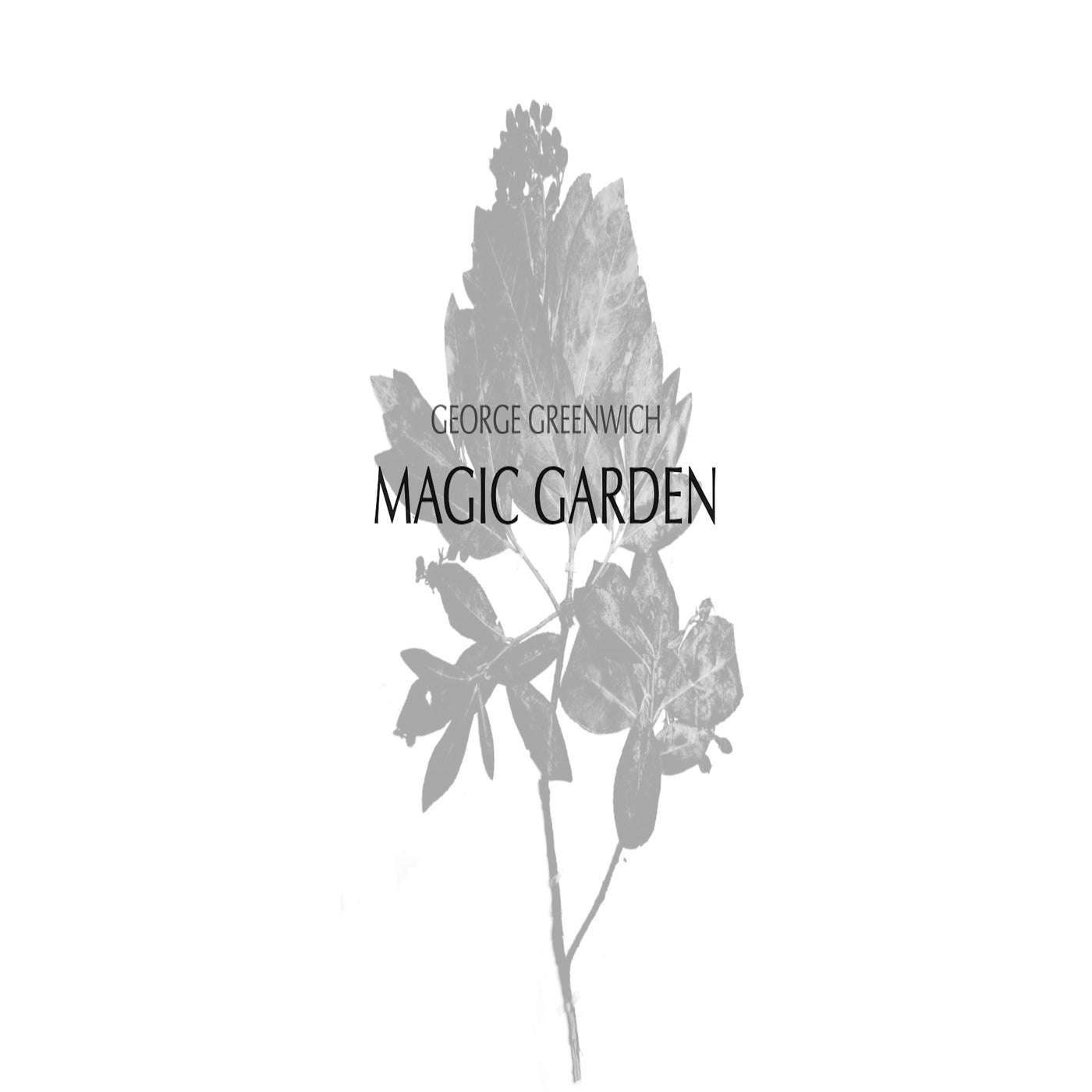 Magic Garden