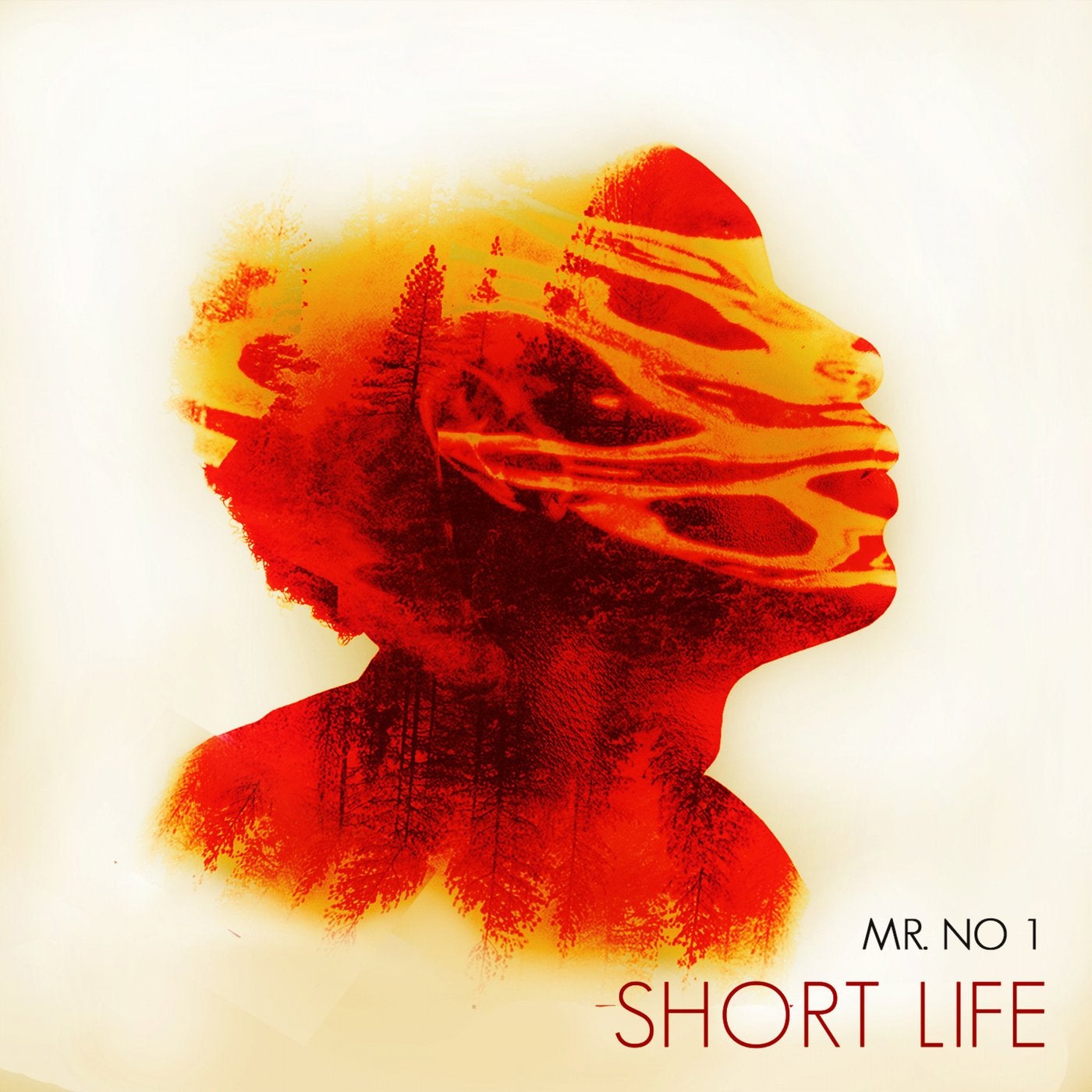 Short Life