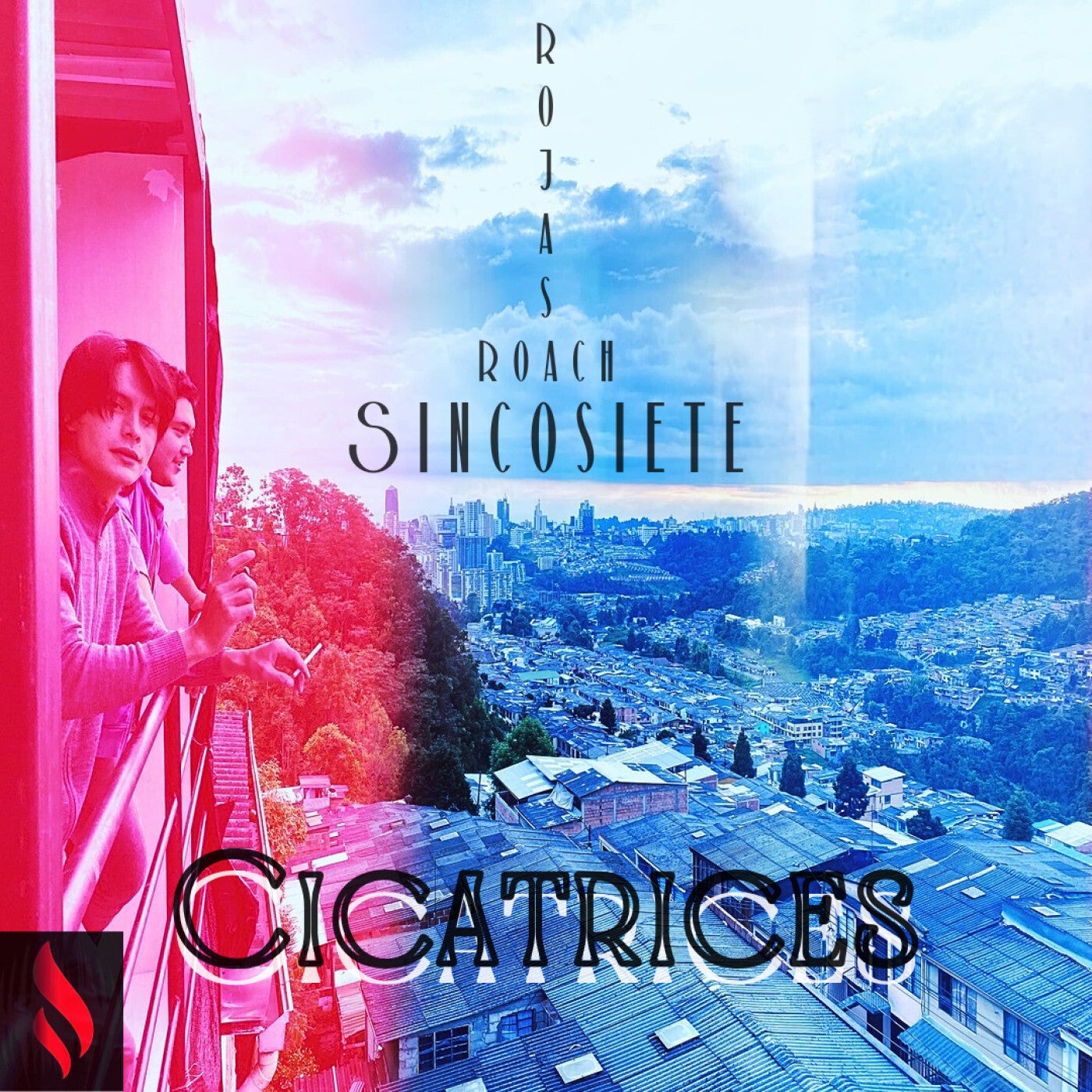 Cicatrices