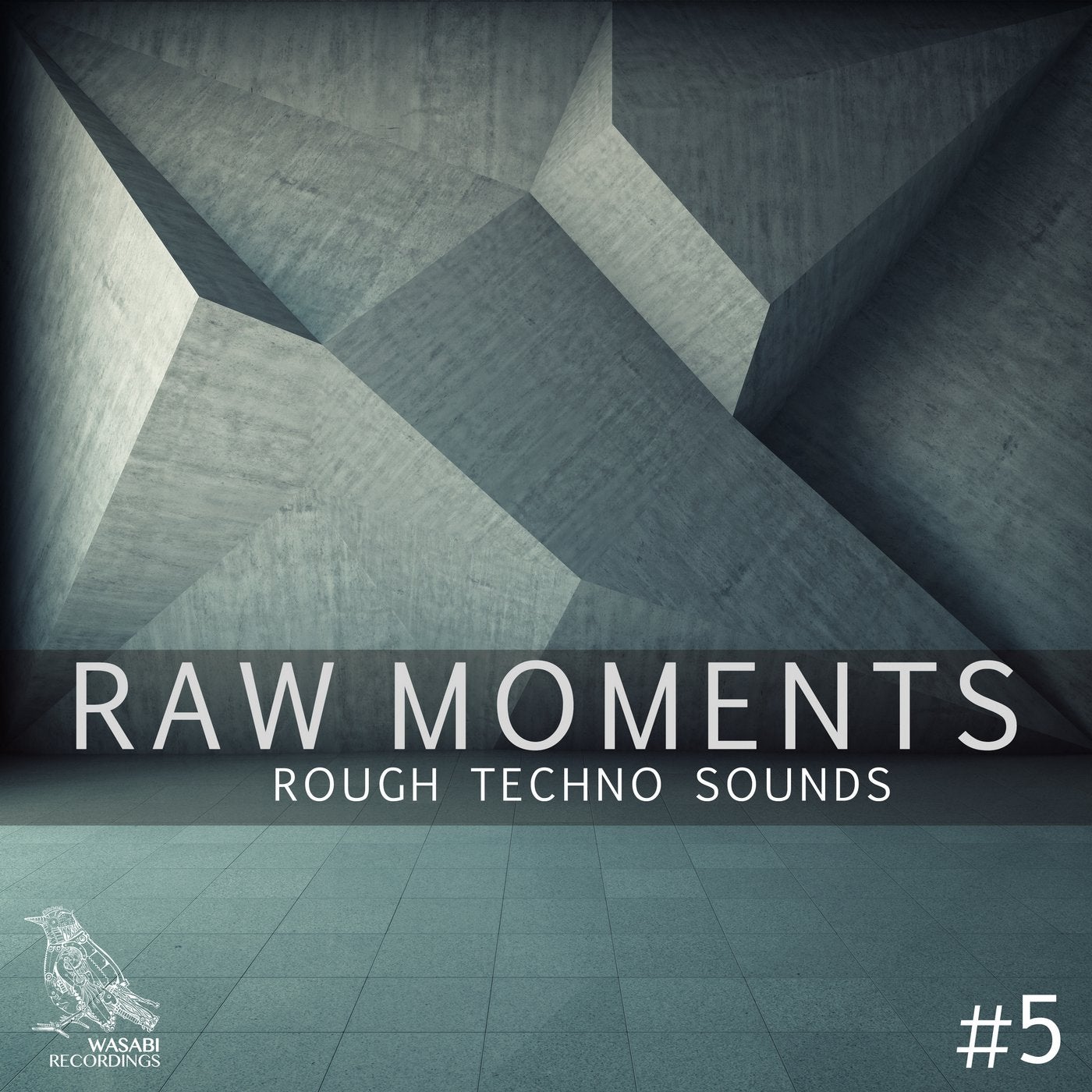 Raw Moments, Vol. 5 - Rough Techno Sounds