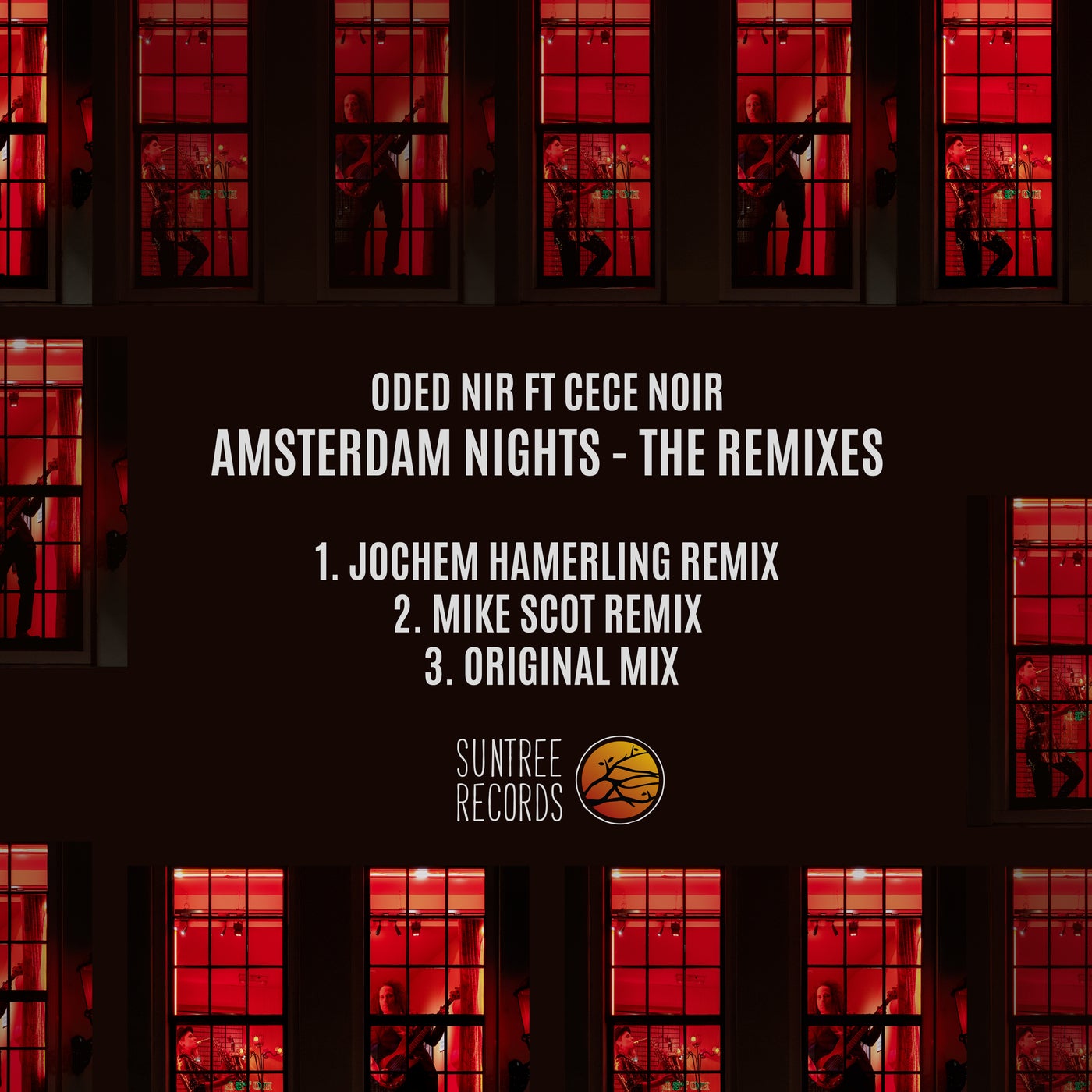 Amsterdam Nights (The Remixes)