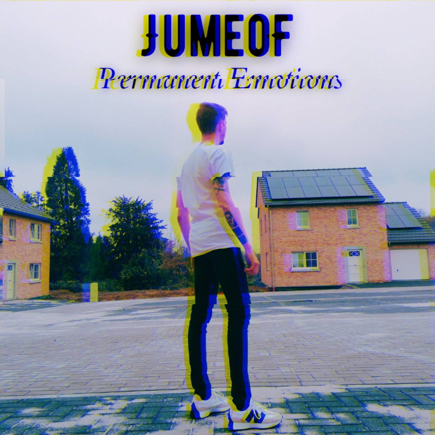 Permanent Emotions
