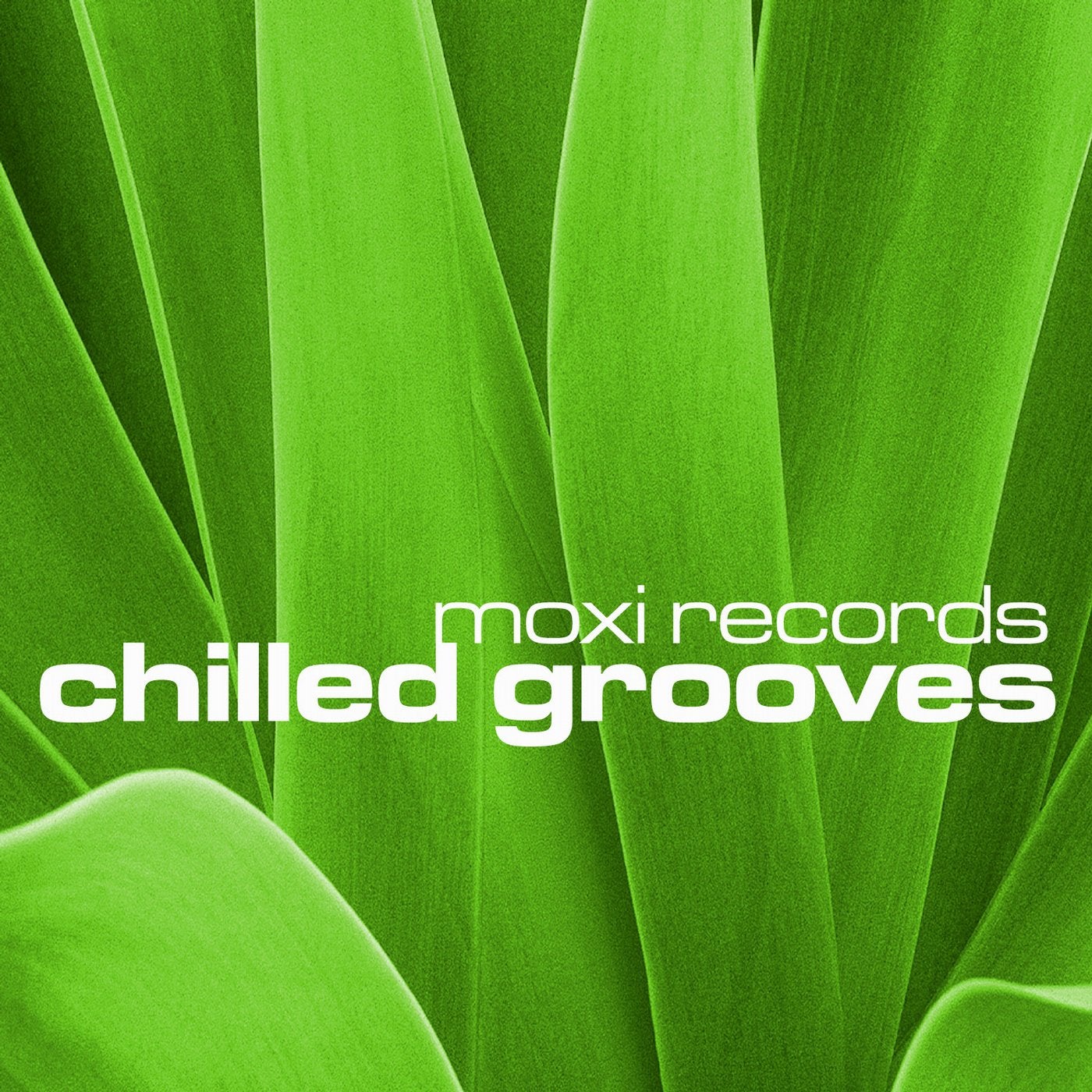 Chilled Grooves Vol 4