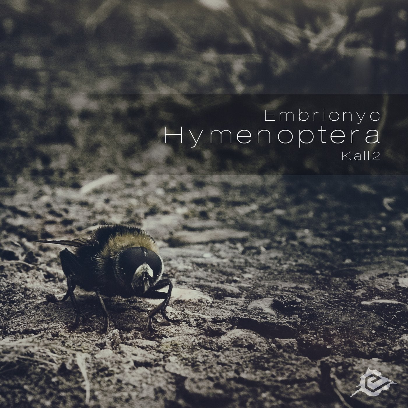 Hymenoptera