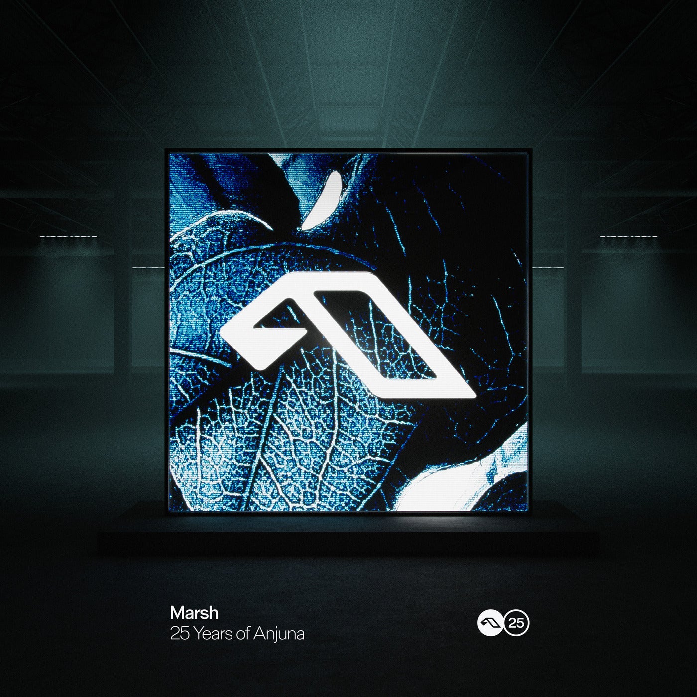 Cover art for 25 Years Of Anjuna Mixed By Marsh