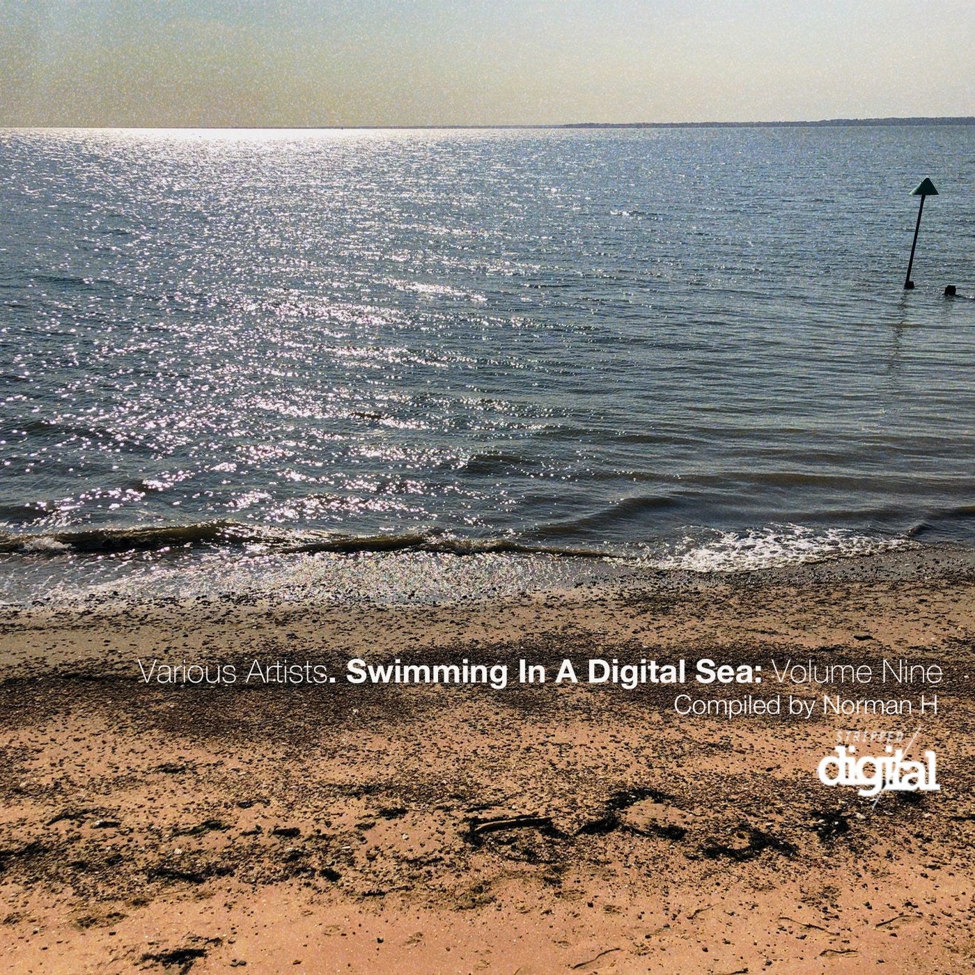 Swimming in a Digital Sea: Volume Nine - Compiled by Norman H