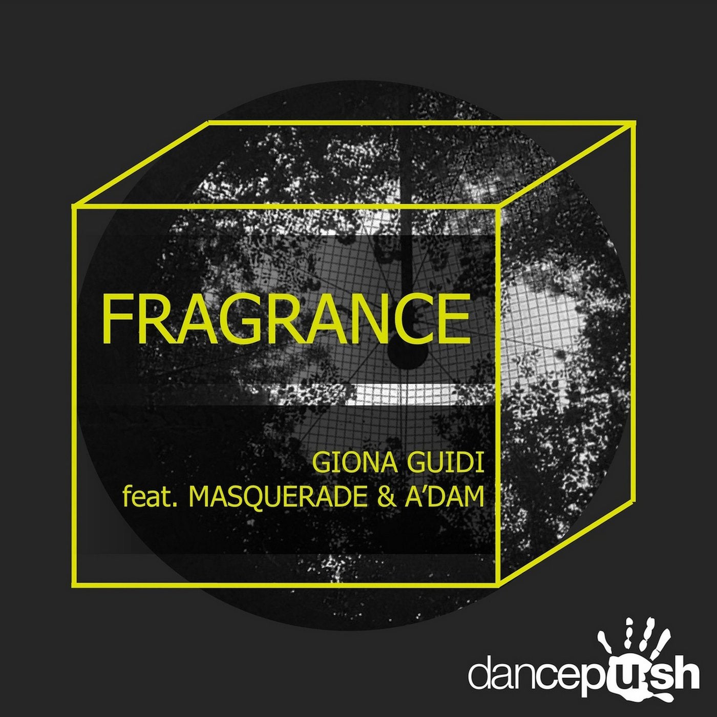 Fragrance