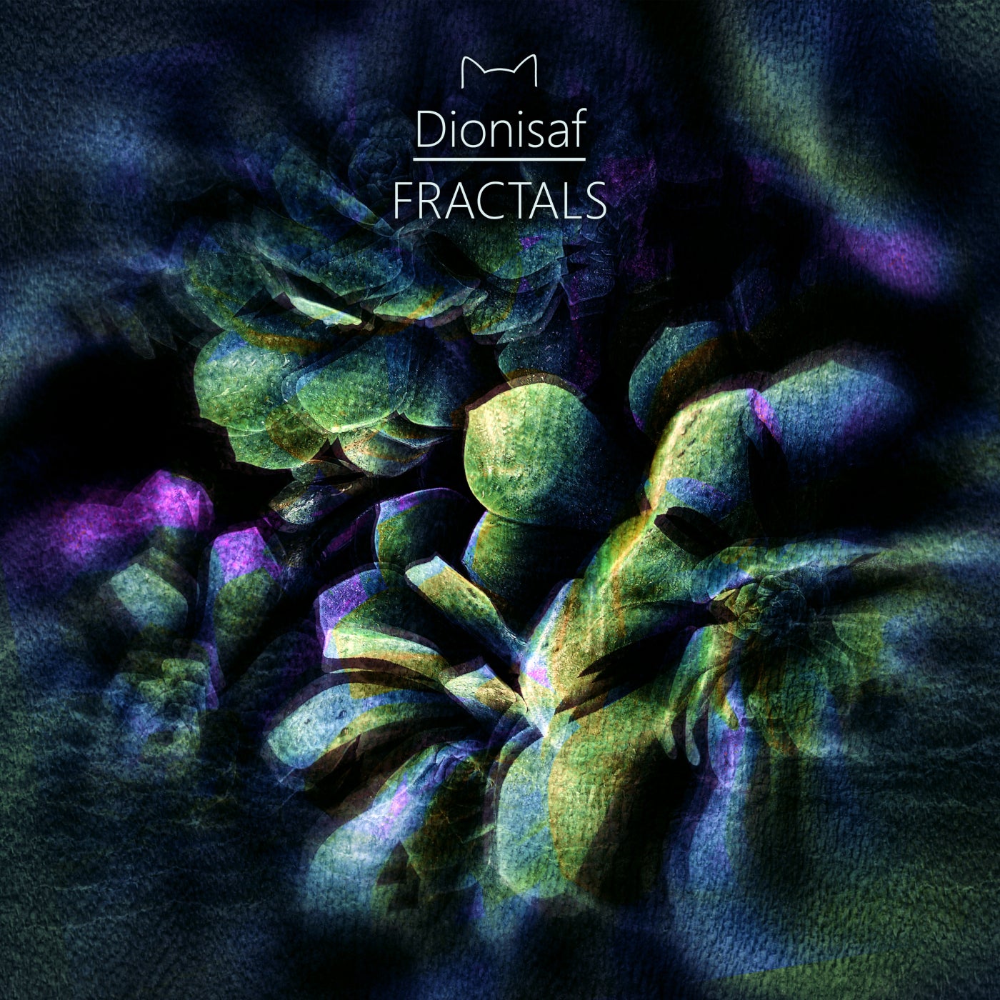 Fractals
