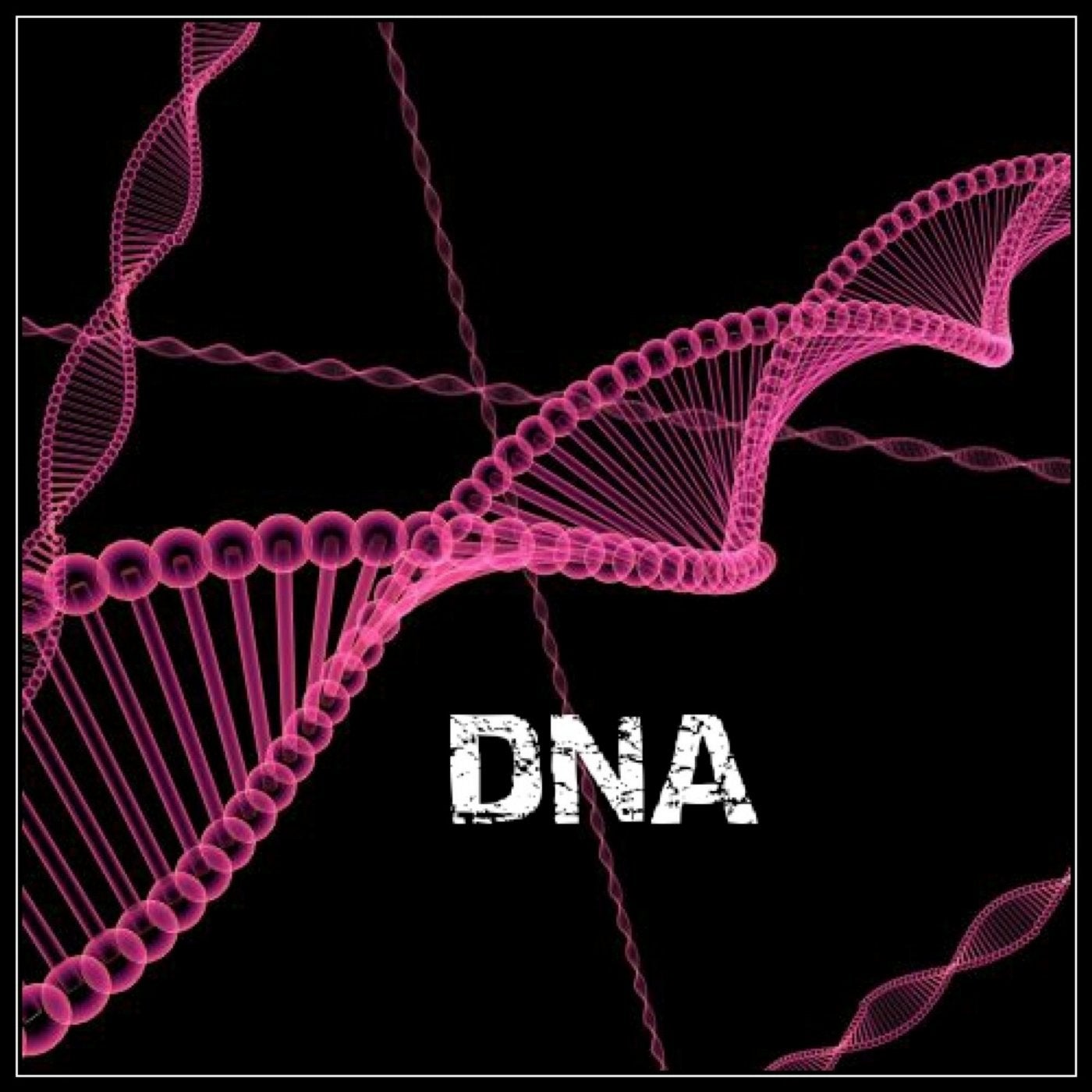 DNA