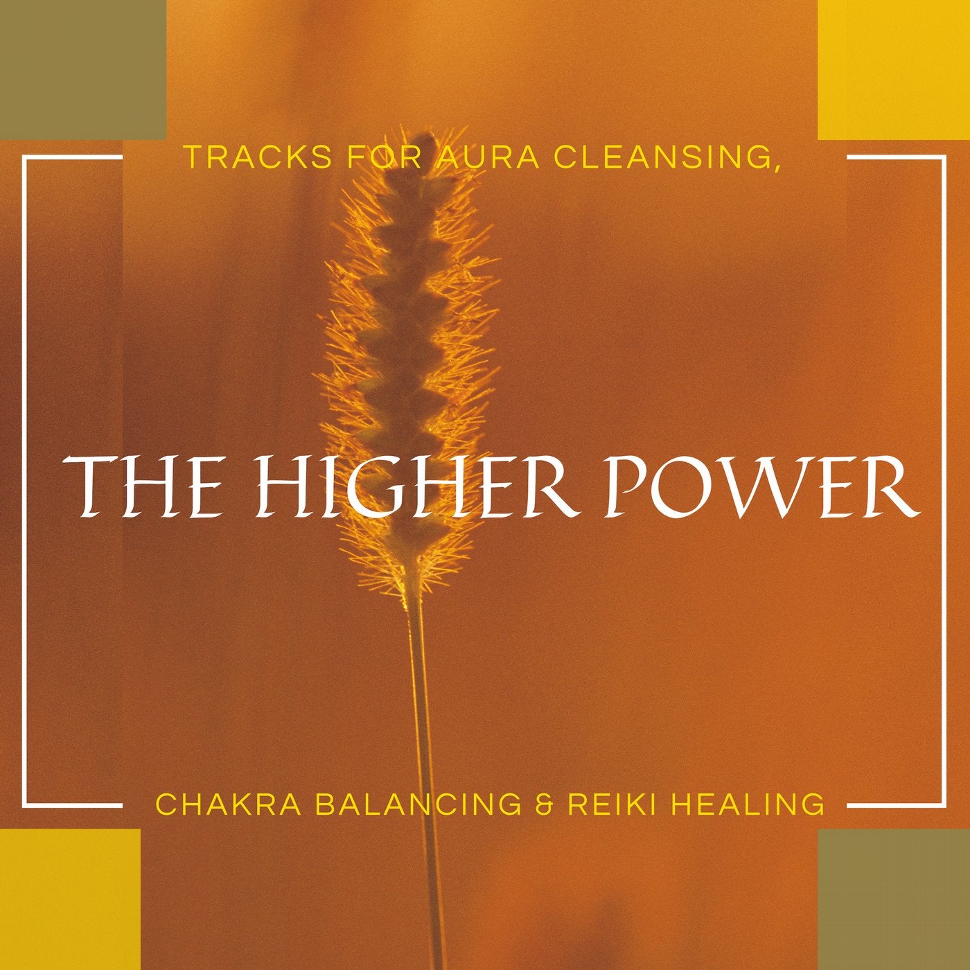 Aura and Chakra Balancing