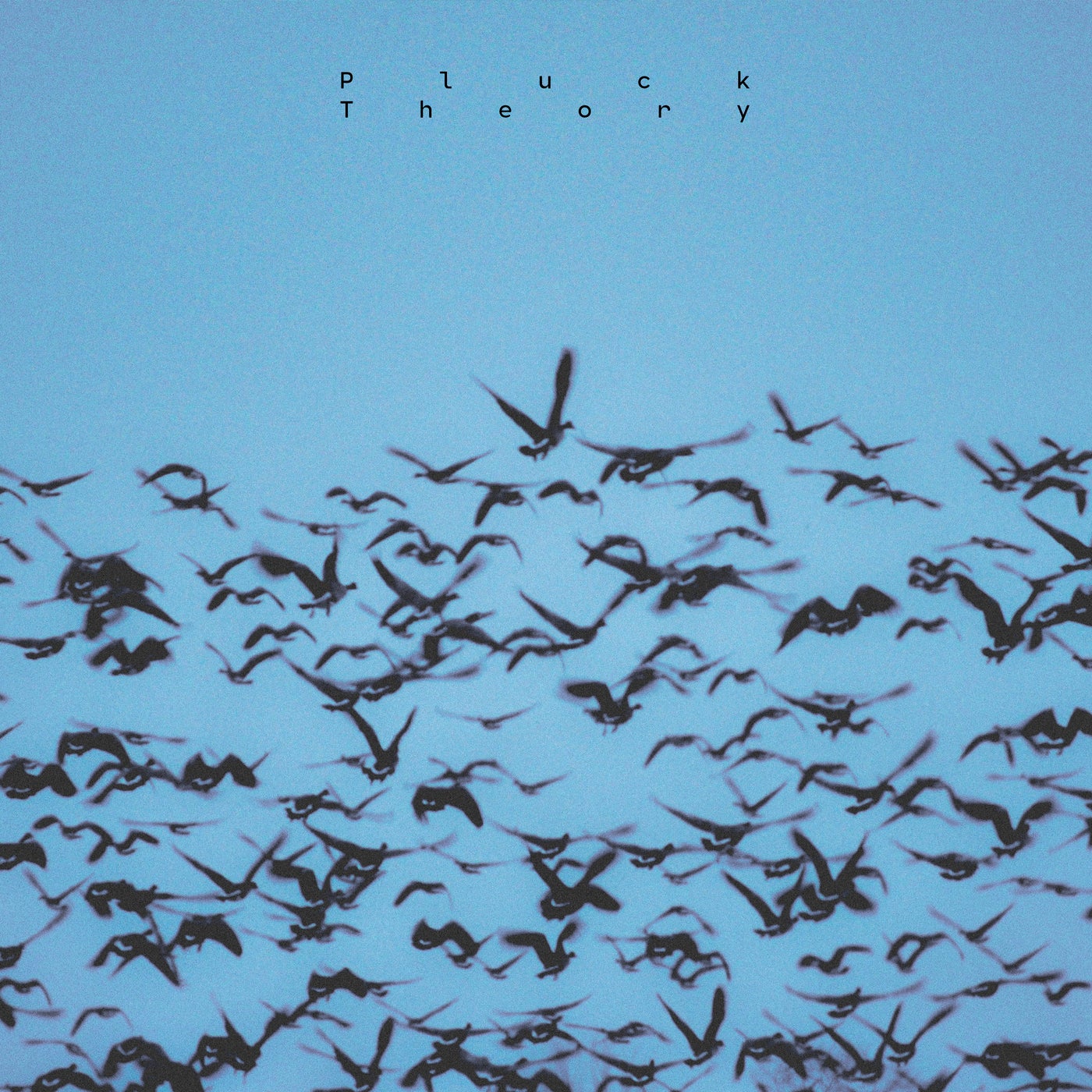 Pluck Theory