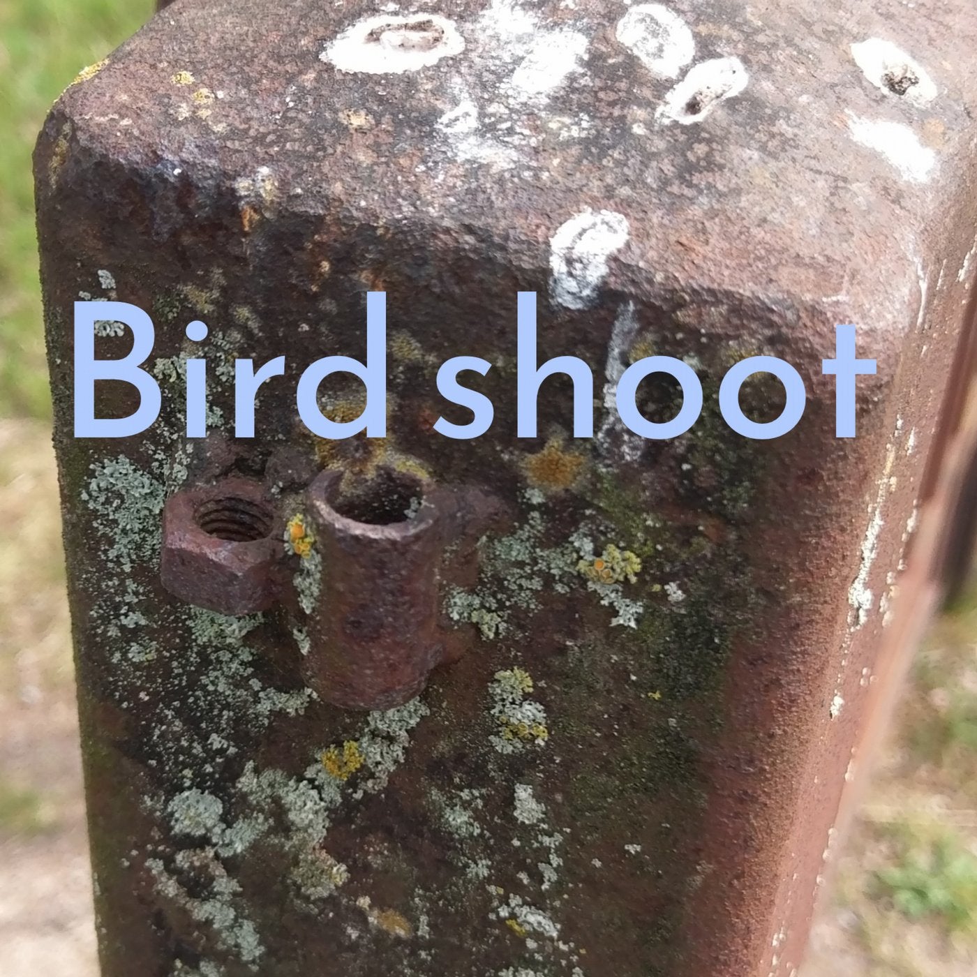 Bird Shoot