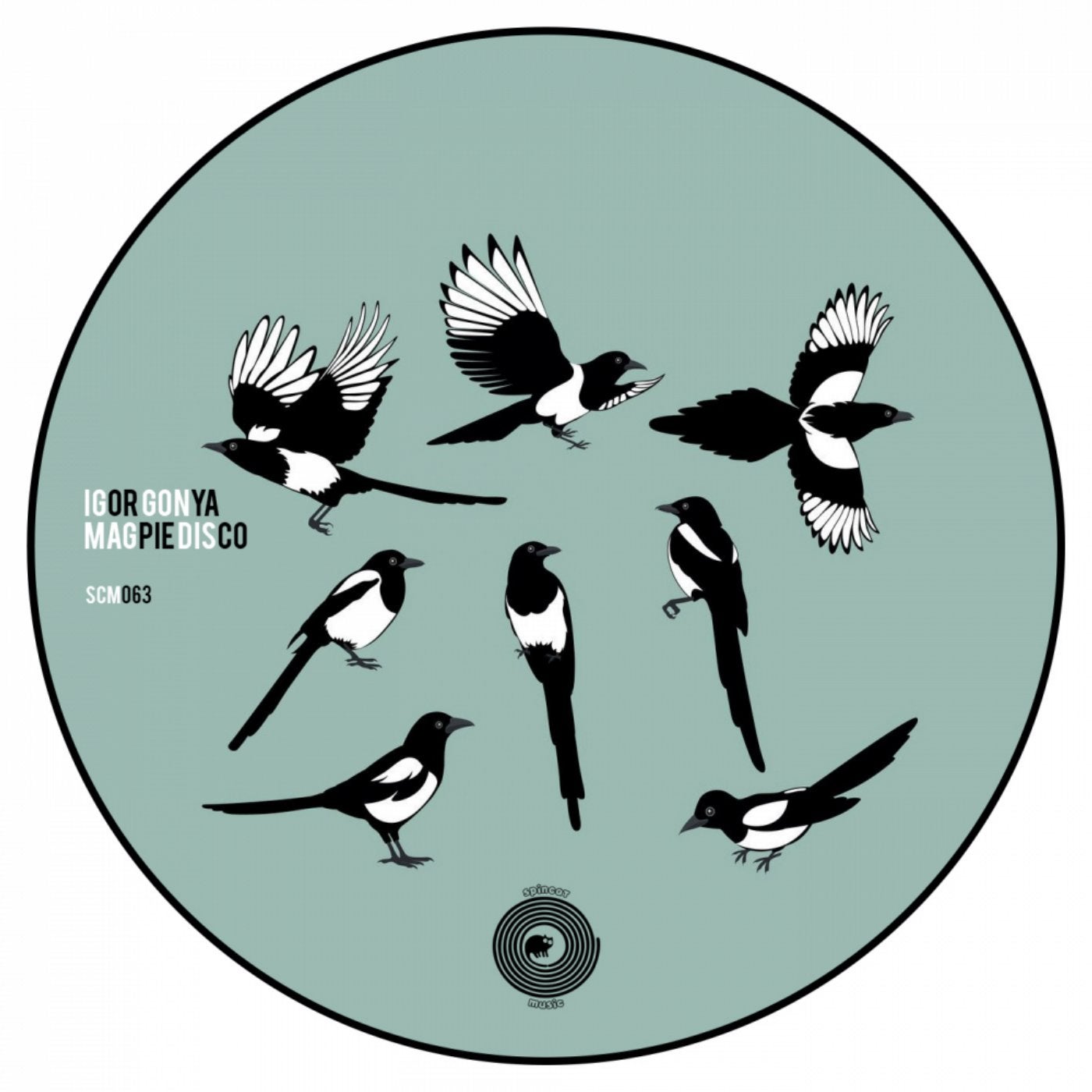 Magpie Disco
