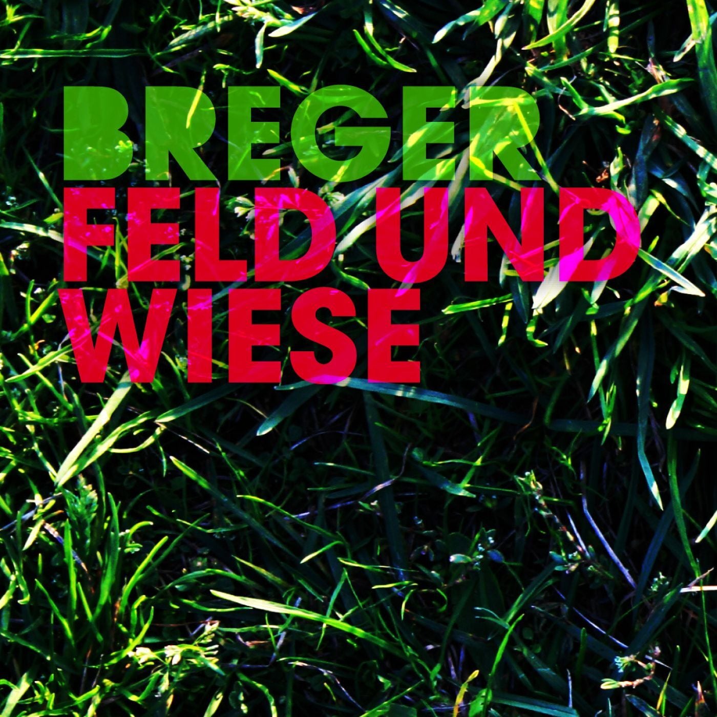 Feld Und Wiese