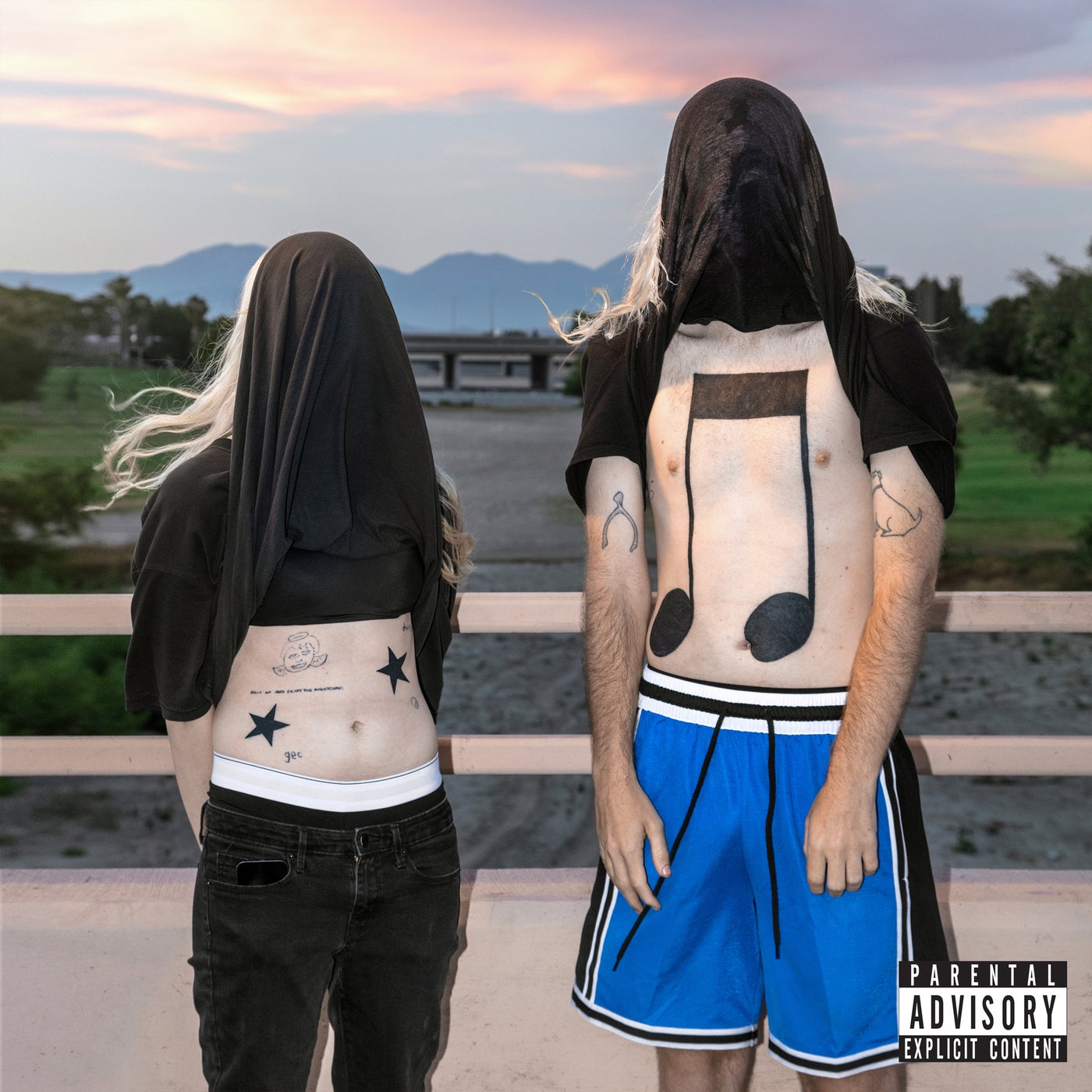 100 gecs - Dumbest Girl Alive album artwork