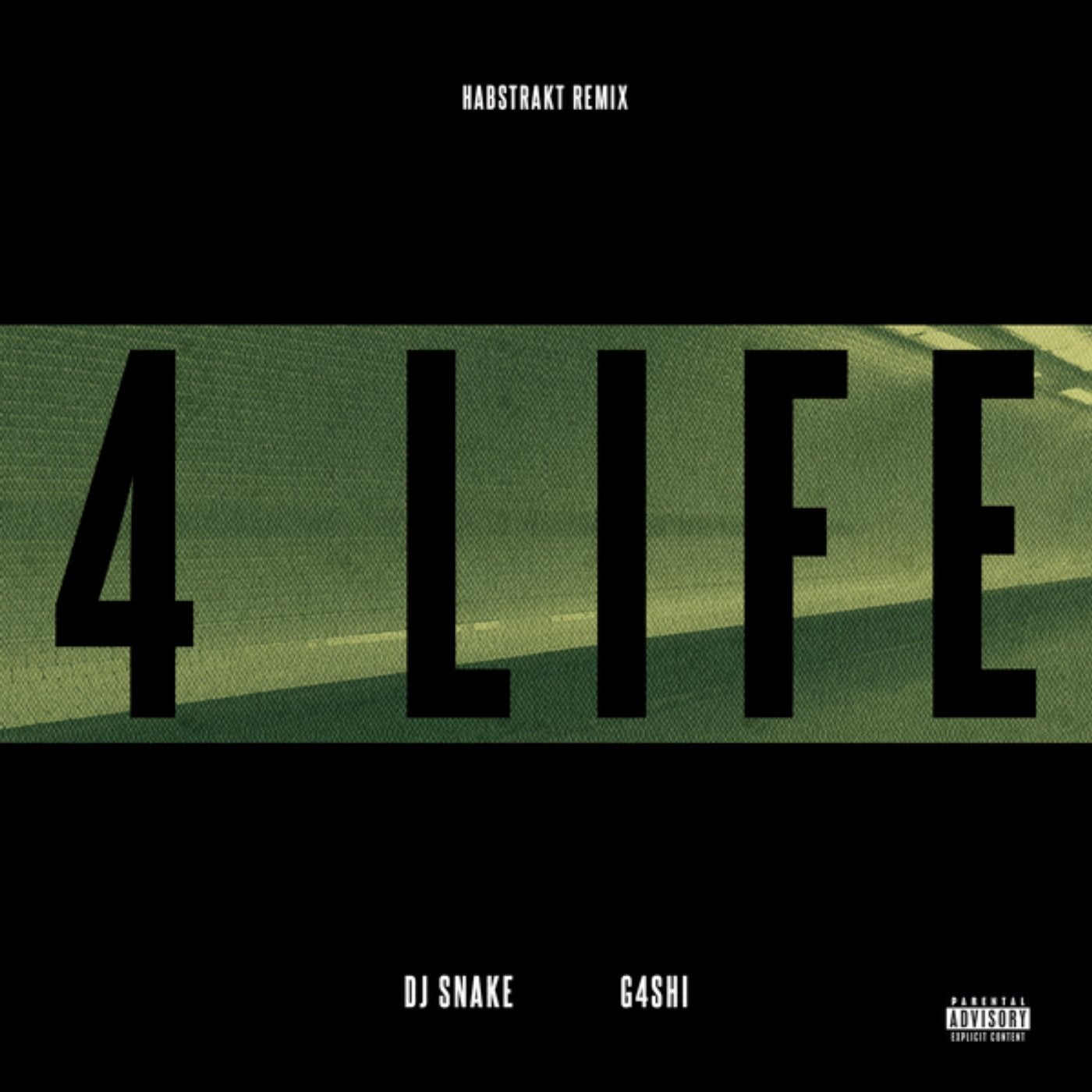 Life 4 music. DJ Snake альбомы. DJ Snake turn down for what. DJ'S Life. Habstrakt студия.