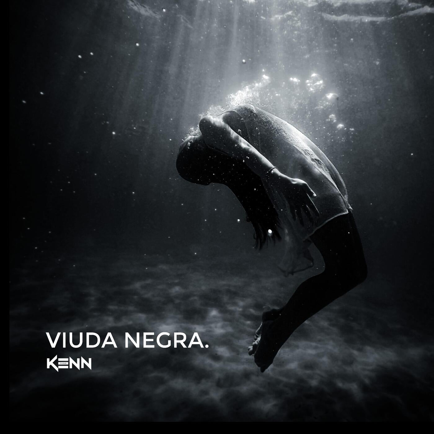 Viuda Negra