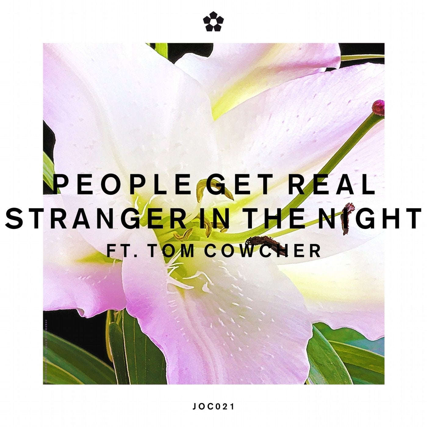 Stranger in the Night (feat. Tom Cowcher)