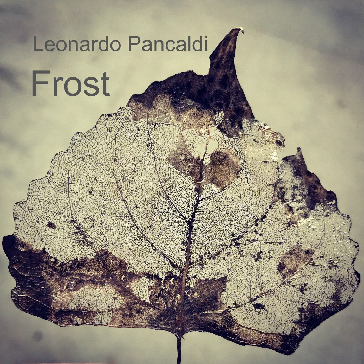 Frost