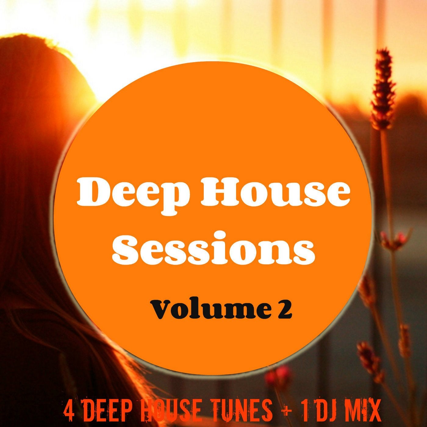 Deep House Sessions 2