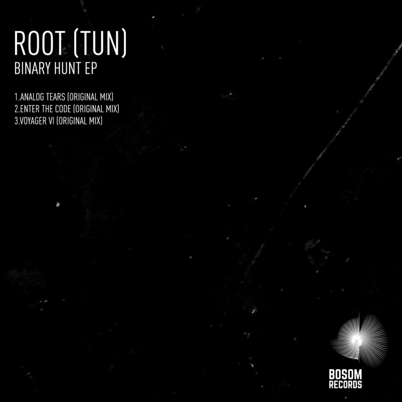 Binary Hunt EP