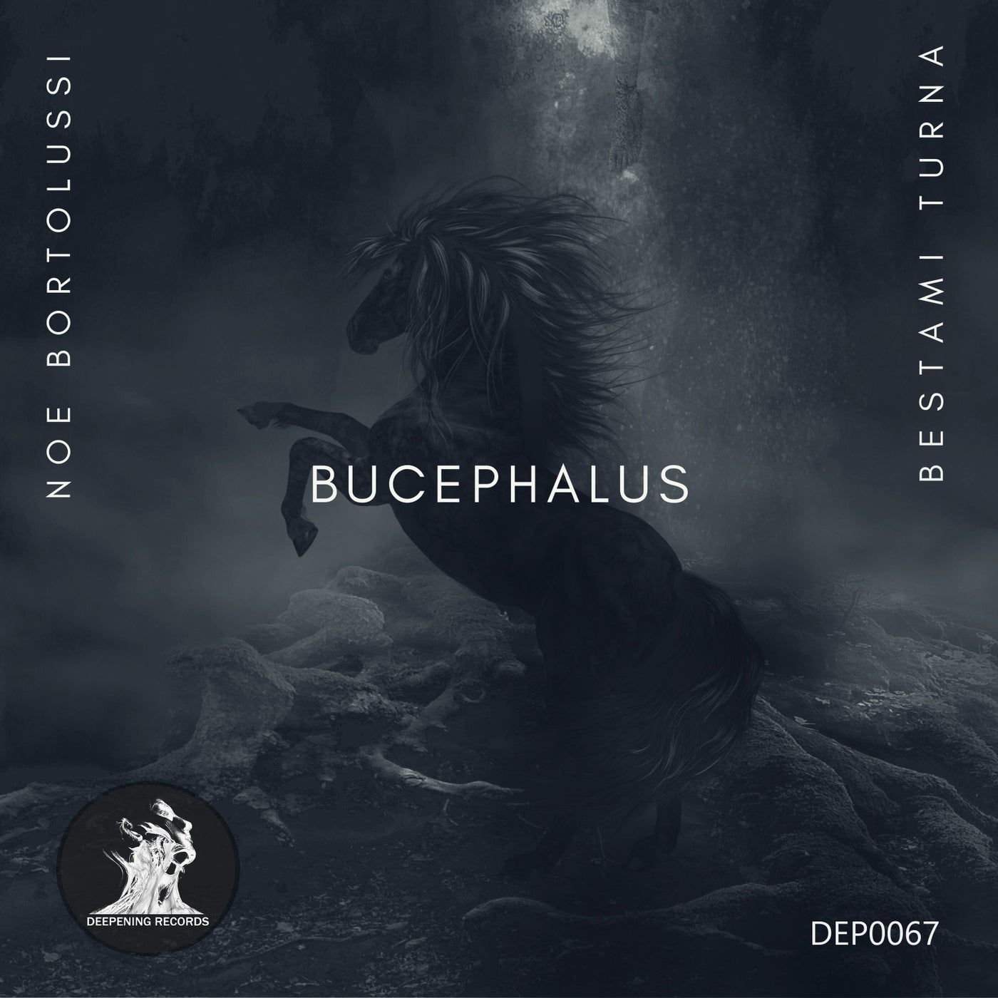 Bucephalus