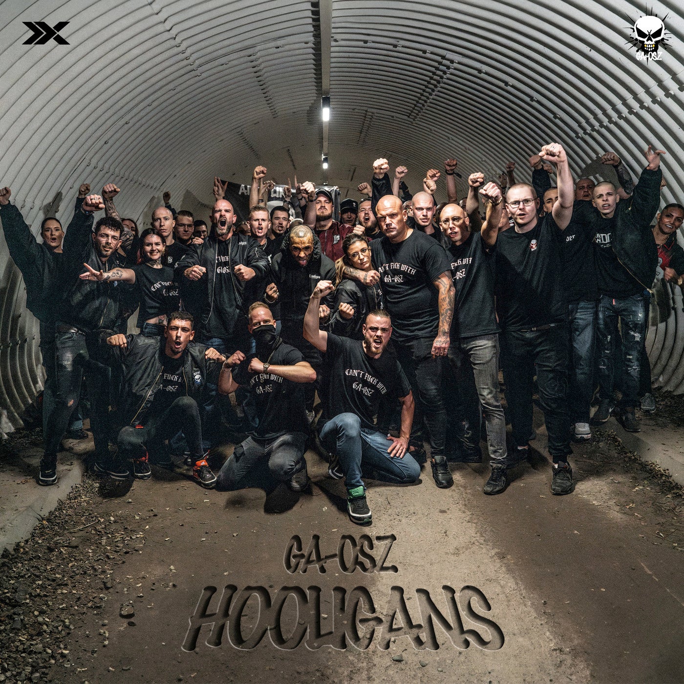 Hooligans