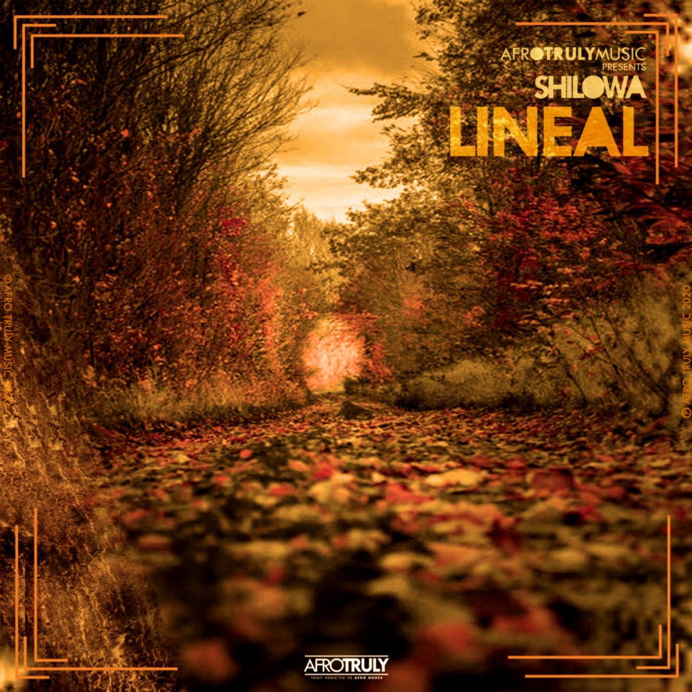 Lineal