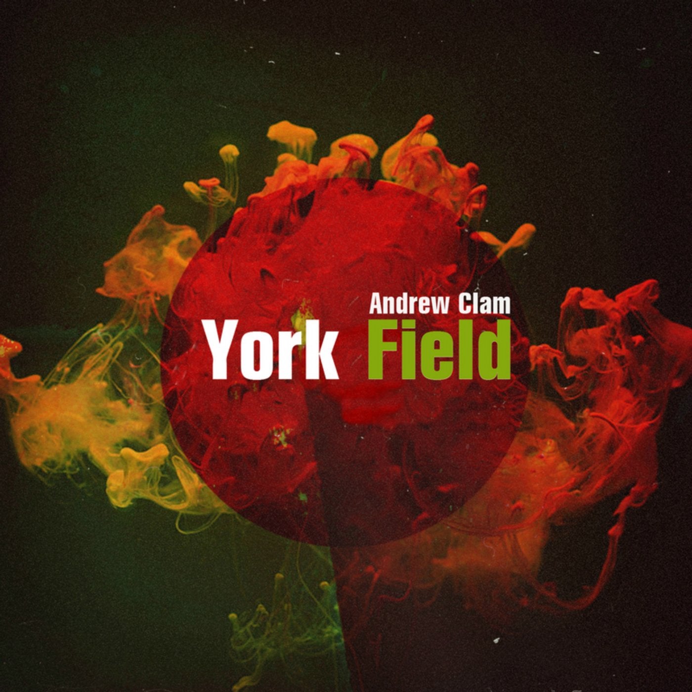 York Field